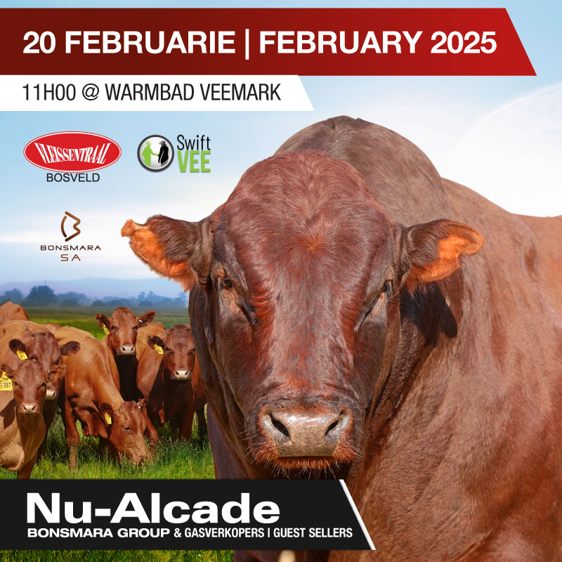 2025-Feb-Previous-Auctions