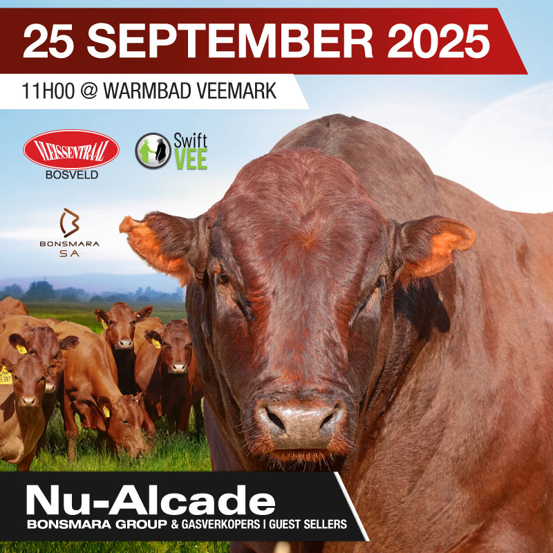 2025-Sep-Previous-Auctions