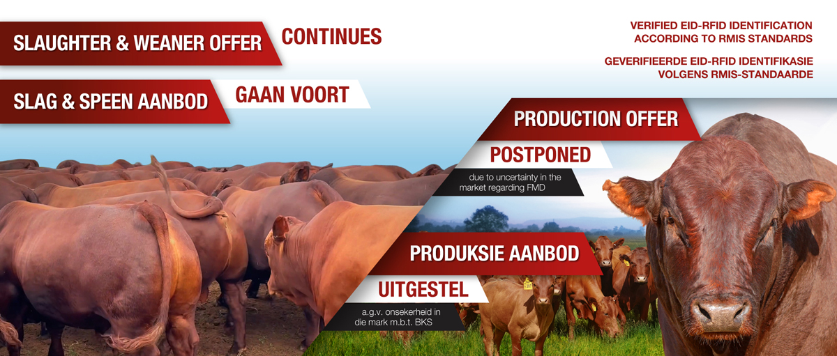 12438-NA-Auction-Feb-2026